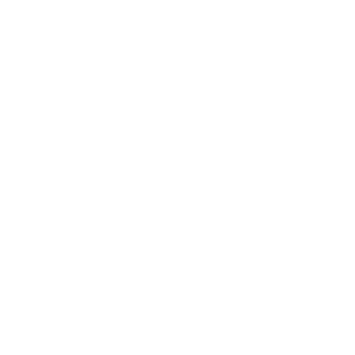 ElChaval