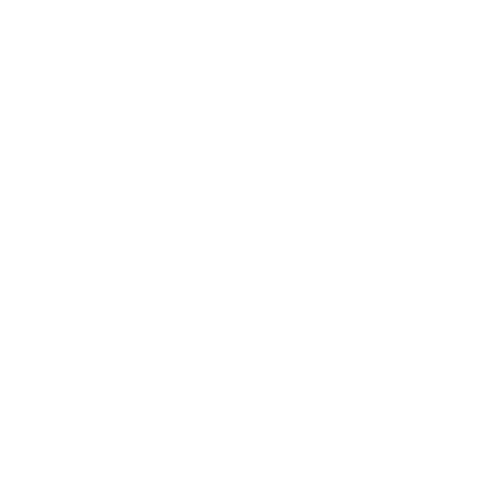 Zar society